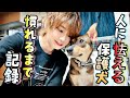 人に怯える保護犬がアニマルハウスにやって来た。慣れるまでの記録
