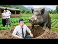 Ref:sSvTiSlJC9c Touching story about a rich ceo and giant wild boar, harvesting cassava &amp; selling it at the market