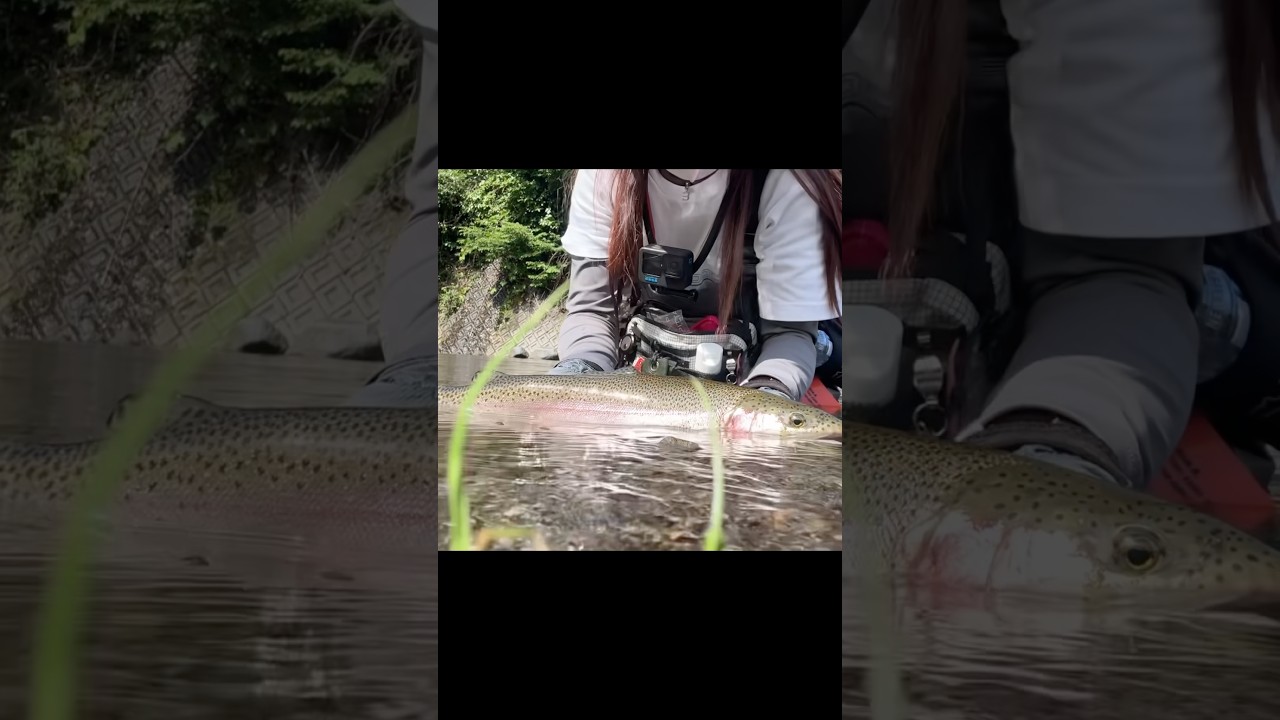 こんな釣り番組は嫌だ2 #釣り#fishing #フライフィッシング #flyfishing