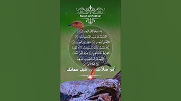 تلاوة خاشعة عطرة مباركة جميلة عذبة للشيخ هزاع البلوشي سورة الفاتحة