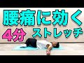 【腰痛改善ストレッチ】4分