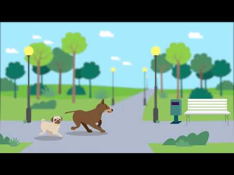 Video: Asemhalingsprobleem By Honde Met Kort Neusrasse