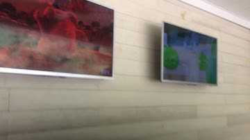 annoying goose 2 parison