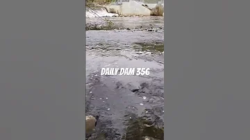 Daily Dam 356 