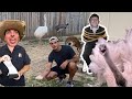 I Caught YouTubers STEALING Kevins EGG (Cops Called) *Paul Cuffaro Exposed*