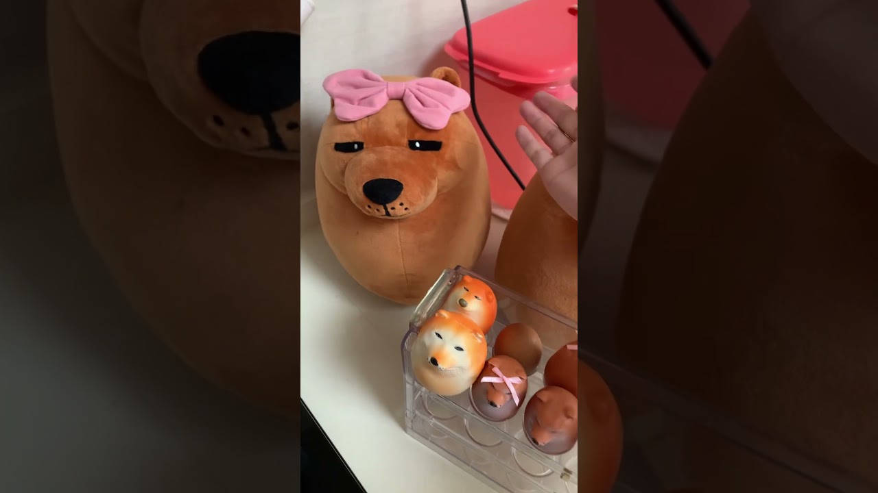 Шибаки 🥰 Шибако 😡