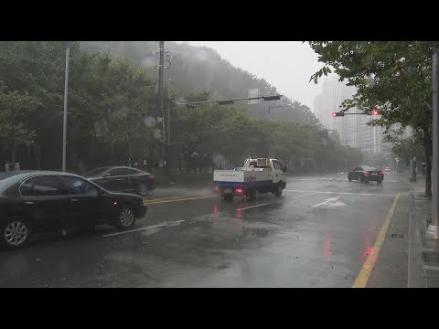 가로수 쓰러지고 항공기 결항…태풍 피해 / 연합뉴스TV (YonhapnewsTV)