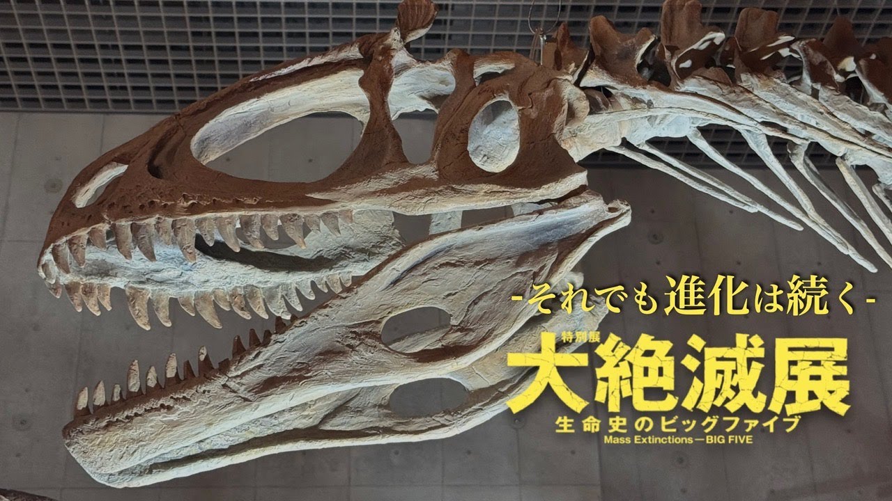 【国立科学博物館公式】-それでも進化は続く-特別展「大絶滅展―生命史のビッグファイブ」解説動画