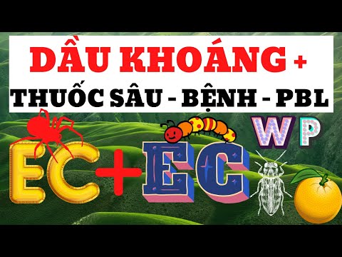 Video: CVS có mang dầu khoáng không?