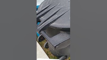 how to find bacteria on objects test  always clean your trash can with bleach