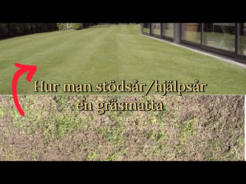 Video: Vad är att överså gräsfrö?