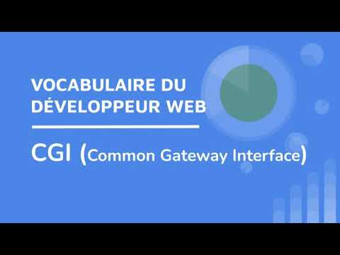 Le CGI (common Gateway Interface -  Vocabulaire du Développeur Web