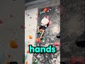 this guy discovered the weirdest climbing technique by accident #shorts #climbing #skills