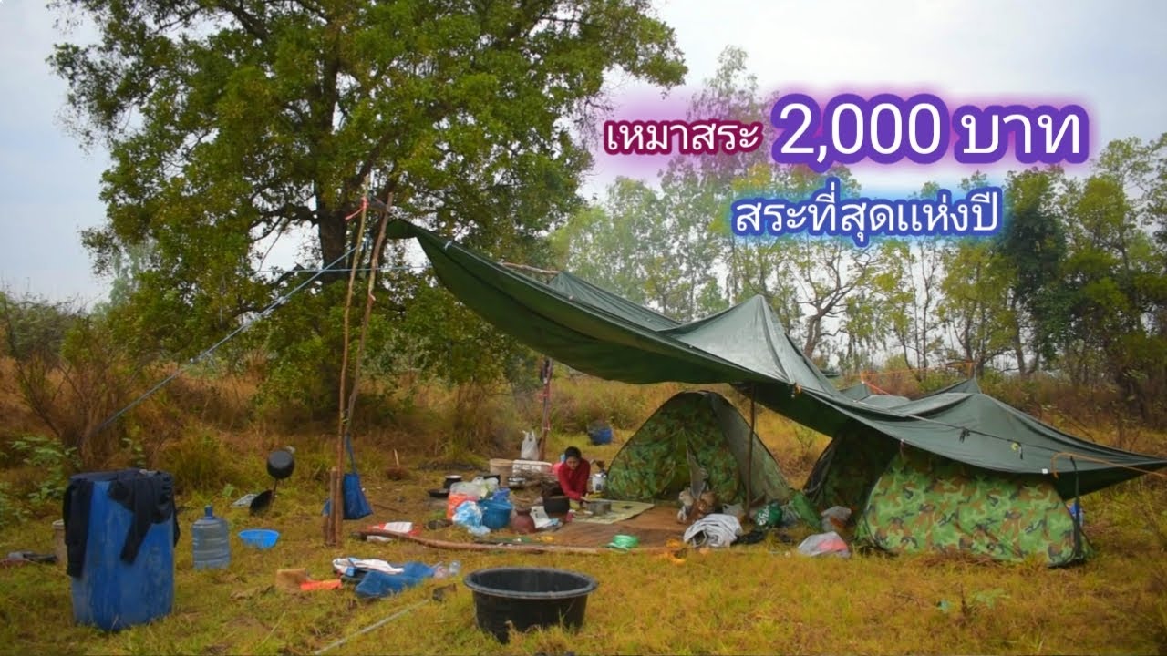 เหมาสระ 2,000 บาท ที่สุดแห่งปี เป็นสระเเรกที่ปลาธรรมชาติเยอะจนจับเเทบไม่หมด / บ้านนอก EP.598