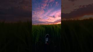 Sunset therapy . . #nature #sunset #sunsets #aesthetic