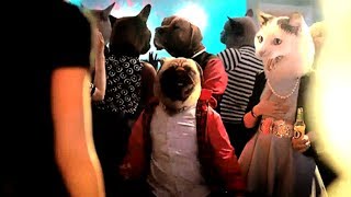 GIF's With Sound Mashup Compilation #38 FUNNY GIFS with sound 38 May 2014 GWS4all