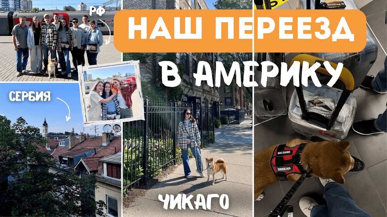 НАШ ПЕРЕЕЗД В США/ЧИКАГО: как прошёл перелет с собакой | проездом в Белграде