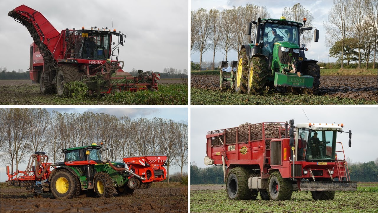 Beetharvest / Ploughing & Sowing | Verveat Q616 + Gilles RB210 | John Deere 6215R & 6130R | Mud
