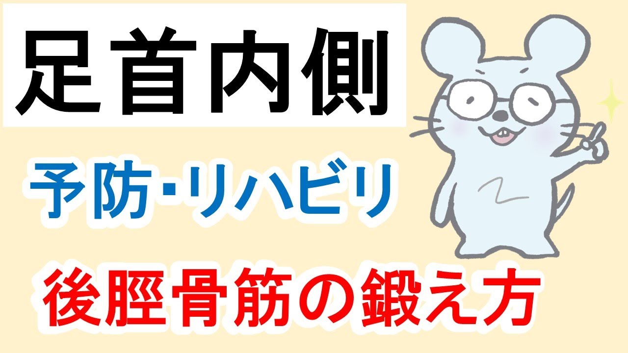 【足首内側の後脛骨筋トレーニング例】Example of training for the posterior tibialis muscle on the inside of the ankle