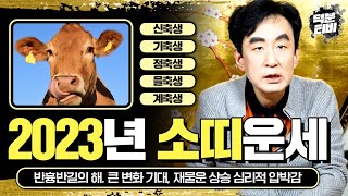 2023년 나이별로 보는 소띠 운세 계묘년에 자다가도 떡이 생기는 운기가 좋은 소띠는 97년생, 85년생, …