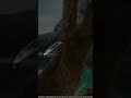 3 NUEVOS trucos para PC con Windows 11 que no conocías!