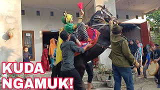 KUDA NGAMUK DEPAN RUMAH! TRADISI KUDA MENARI ADAT MANDAR