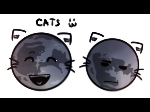 cats-solarballs-animation-meme-ft-luna-tdsotm-youtube