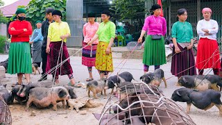 Download Lagu SAPA TV | TRẢI NGHIỆM CHỢ PHIÊN DU GIÀ HÀ GIANG ĐÔNG NGHẸT NGƯỜI RỰC RỠ SẮC MÀU VÙNG CAO MP3 Download Lagu SAPA TV | TRẢI NGHIỆM CHỢ PHIÊN DU GIÀ HÀ GIANG ĐÔNG NGHẸT NGƯỜI RỰC RỠ SẮC MÀU VÙNG CAO MP3