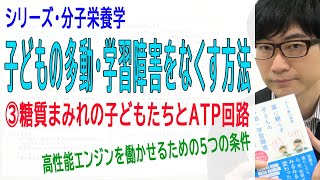 【子どもの多動・学習障害をなくす方法】③糖質まみれの子どもたちとATP回路（3/8）