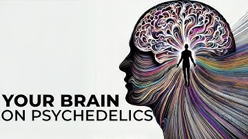 Deconstructing the Psychedelic Experience