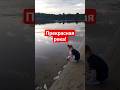 РЕКА ЗАПАДНАЯ ДВИНА! #реки #дети #красота #родина #родители #люблю #край #лес