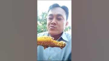 Anh nông dân ăn hết một tổ Mật Ong rừng và cái kết #2 - #Shorts