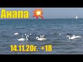 Анапа.  Погода  +18, море, лебеди.