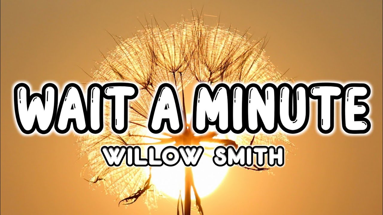 Willow Smith - Wait a Minute (Tiktok Song) (Lyrics) [Niana Guerrero DC Song]