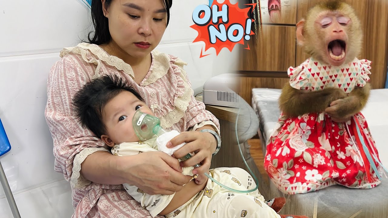 Обезьянка Диана хочет пойти с ребенком к врачу.