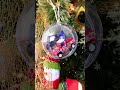 Feliz Natal | Merry Christmas | Feliz Navidad #mundopremium64