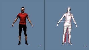 MOVE4D: measurement extraction from single-frame capture