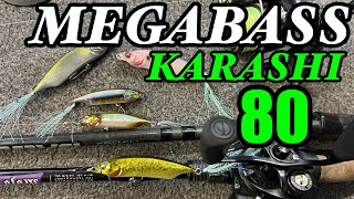 The new Megabass karashi 80 🔥🔥🔥