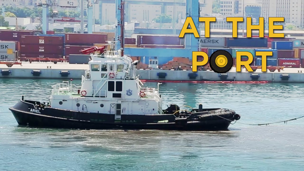 ⁣Ships and Boats in Action at the Port | Videos For Children | 🚚 Toys for Boys