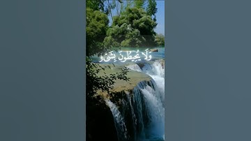 #آية_الكرسي  || Quran Kareem || #ياسر_الدوسري #سورة #قرآن #الله #سورة_البقرة #مؤثر #youtube #trend