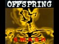 Best Of 90's - 1Album/1Song - The Offspring Smash/Self Esteem