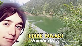 Edibe Sulari - Usandım Le Le-Dertli Duygulu Unutulmayan türkü Resimi