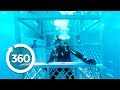 Isle of Jaws (360 Video)