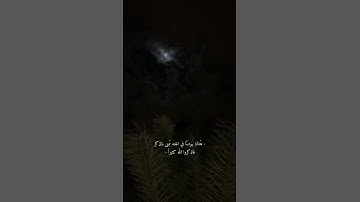 إِنَّ الْأَبْرَارَ لَفِي نَعِيمٍ | القارئ ياسر الدوسري