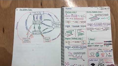 9th Grade Earth Science Notebook