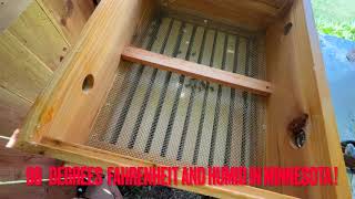 How to vent your beehive in the hot summer ~ how to start beekeeping