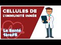 Immunité innée 1 : Les Cellules  Sentinelles- SVT - SANTÉ 1ère spé #5 - Mathrix