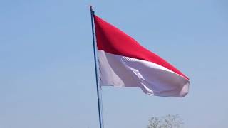DownloadSang merah putih berkibar MP3 MP4 Sang merah putih berkibar