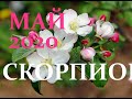 СКОРПИОН. МАЙ 2020 г. ЧТО ВАС ЖДЁТ. ПОДРОБНЫЙ ПРОГНОЗ на МЕСЯЦ.