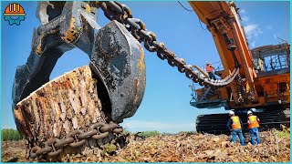 300 INCREDIBLE Powerful Stump Removal Excavator At Another Level